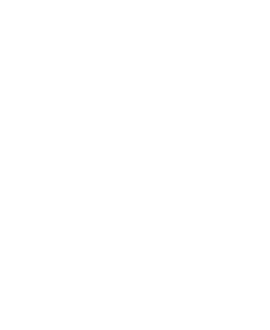 logo sally